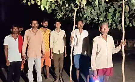 Wild Animal Read in Bahraich for a week, villagers in panic, three -month -old girl is dead