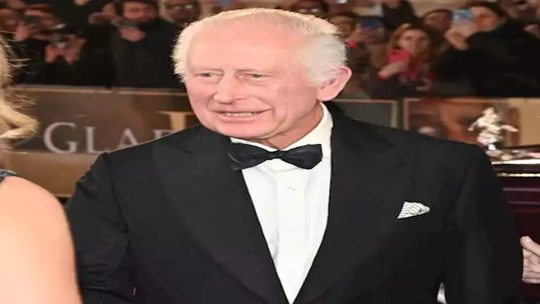 بسعر مفاجئ .. طرح دب الملك تشارلز للبيع – ryan