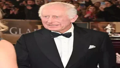 بسعر-مفاجئ.-طرح-دب-الملك-تشارلز-للبيع