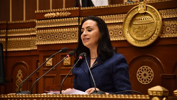 رفع-غرامة-رد-الطفل-المكفول-لدور-الرعاية-لأكثر-من-20-ألف-جنيها
