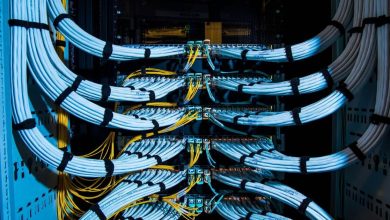 Saudi Humane Study an Artificial Intelligence Partnership with Black Rock and Blackston