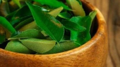 Eat curry leaves on an empty stomach every day, you will get countless benefits