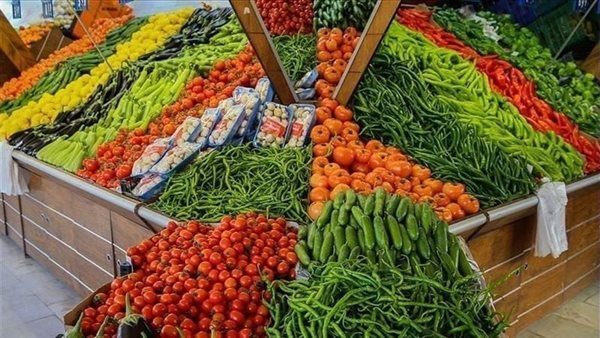 أسعار الفاكهة اليوم في سوق العبور – ryan