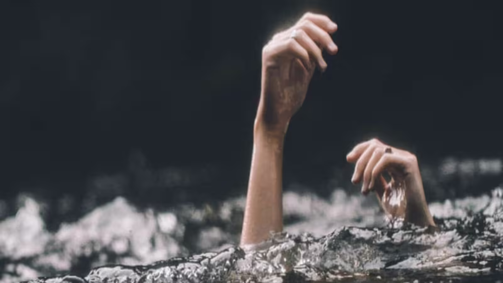 The young man who went to fetch mushrooms attacked ‘enemies’ … in the field groaned