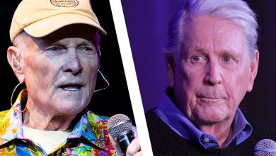 mike-cherish’s-brian-wilson-eulogy-used-to-be-‘crucial-megalomania’