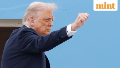Trump demands Zelensky ‘Make an agreement’ to end the Russia-Kraine War, calls on Europe to stop buying Russian oil immediately ‘