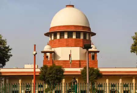 Local body elections are welcomed in Maharashtra by January 2026, welcome to the decision of the Supreme Court