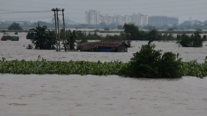 The parole period of murder has been expanded for the care of floods wasted, what did the court say? -NCR -Parool has been expanded for Concick to restore the flood -damaged crops in New -Delhi