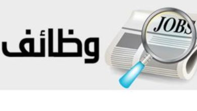 جامعة القاهرة تعلن عن 49 وظيفة شاغرة لأطباء الأسنان (تفاصيل)