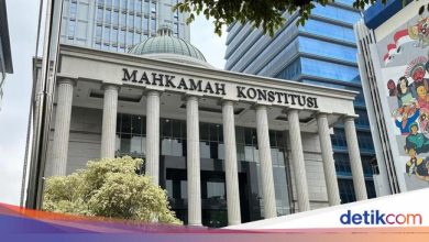 MK today holds decisions about 5 lawsuits of the TNI law