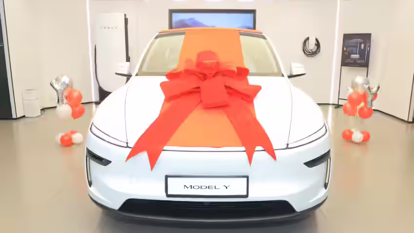Question about the safety of Tesla Model Y, open by broken window to remove children