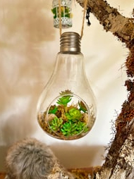 Indian Startups and Green Innovation Wave!