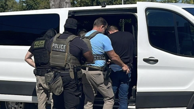 federal-brokers-absorb-immigration-arrests-in-west-chicago-and-at-west-facet-courtese
