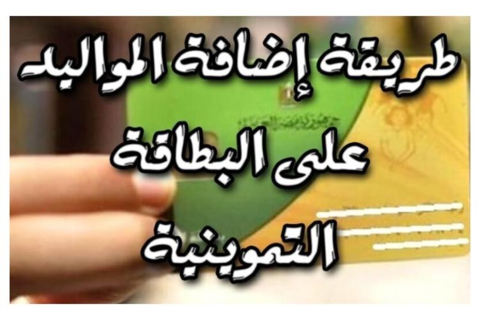 steps-so-to-add-births-on-the-catering-card-2025.-the-specified-papers-and-the-due-classes