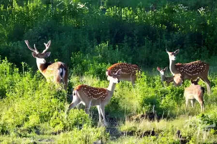 China’s 34 Nature Reserve has become the World Biosphere Reserve