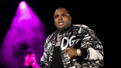 Sean Kingston Senttenced to 3 1/2 Years for Wire Fraud – ryan