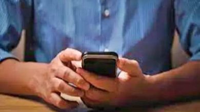 Crop verification starts from satellite for purchase on MSP in Gujarat, farmers should not get nervous: the government