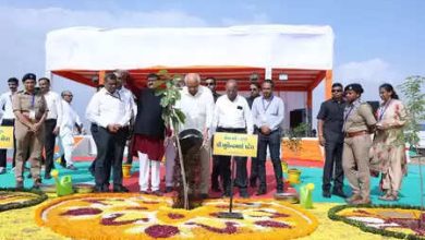 ‘Namo one’ of 1 million trees devoted to the 75th birthday of PM Modi: CM Bhupendra Patel