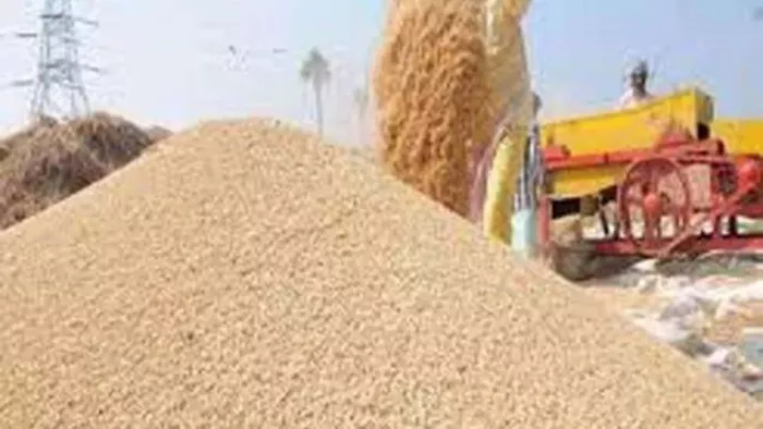 Up Dhan Kharid: How much will farmers buy paddy? Government has completed the support price – preparation for raising the purchase price