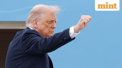 Donald Trump appoints ‘anti-facist’ antifa movement as ‘big’ terrorist organization. What is it?