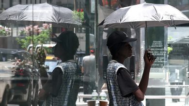 how-vulgar-heat-impacts-the-physique-–-and-who’s-most-at-possibility
