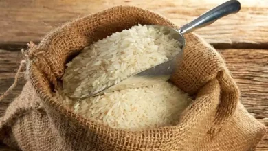 مع-زيادة-المعروض.-هل-تنخفض-أسعار-الأرز-الفترة-المقبلة؟-الشعبة-تجيب