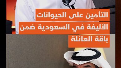 التأمين على الحيوانات الأليفة في السعودية يشهد طلبا عاليا.. فكم تبلغ أسعاره وهل ينضم لباقة…