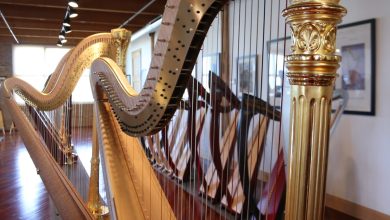 after-passing-up-a-tax-break,-harp-maker-lyon-&-healy-stick-with-near-side-home
