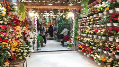 This city of up decorates with artificial flowers, now it is to decorate the house around the house – artificial flowers ask for a boom before festivals in Gorakhpur News