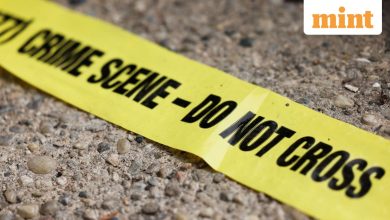 Delhi Shocker: The 49-year-old man dies after falling off the flyover, with a vehicle in Pandav Nagar overflowed