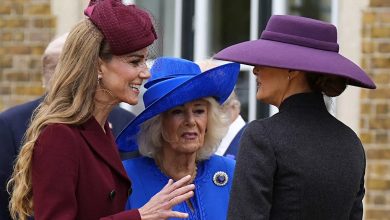 Why Melania Trump Didn’t Curtsy to the Royal Family During State Visit – ryan