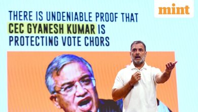 Voter Delety -Ry: All you need to know about 2023 fiasco, as EC confirms ‘unsuccessful attempts’ in Aland