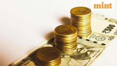 Vedanta, Coal India to MSTC: 5 shares with steady dividends in FY25 that foreign bank FDs