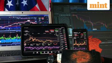 NSDL shares trade 61% higher than the IPO price, but Motilal Oswal sees no room for further rally. Here’s why