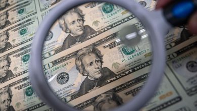 The dollar draws the largest increase in two weeks after changing interest expectations