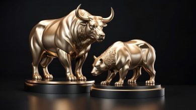 SENSEX, NIFTY 50 Extend profits to the 3rd straight session to the US Fed rate cut – 10 most important highlights from the Indian stock market