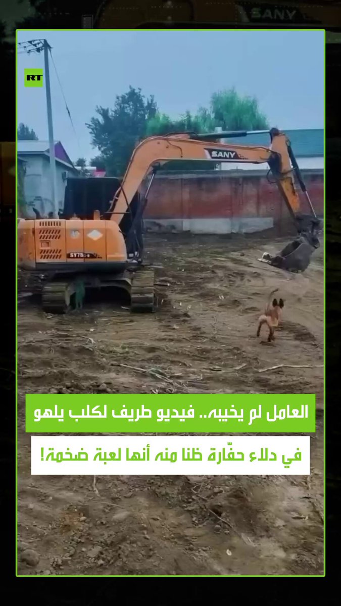 مشهد طريف .. مشاهد لكلب يلعب داخل دلاء حفّارة ضخمة ظنا منه أنها إحدى ألعابه الخاصة، حيث بدأ…