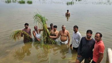 Farmers of Sonepat protested in underwater fields