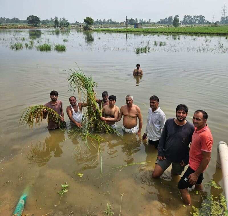 Farmers of Sonepat protested in underwater fields