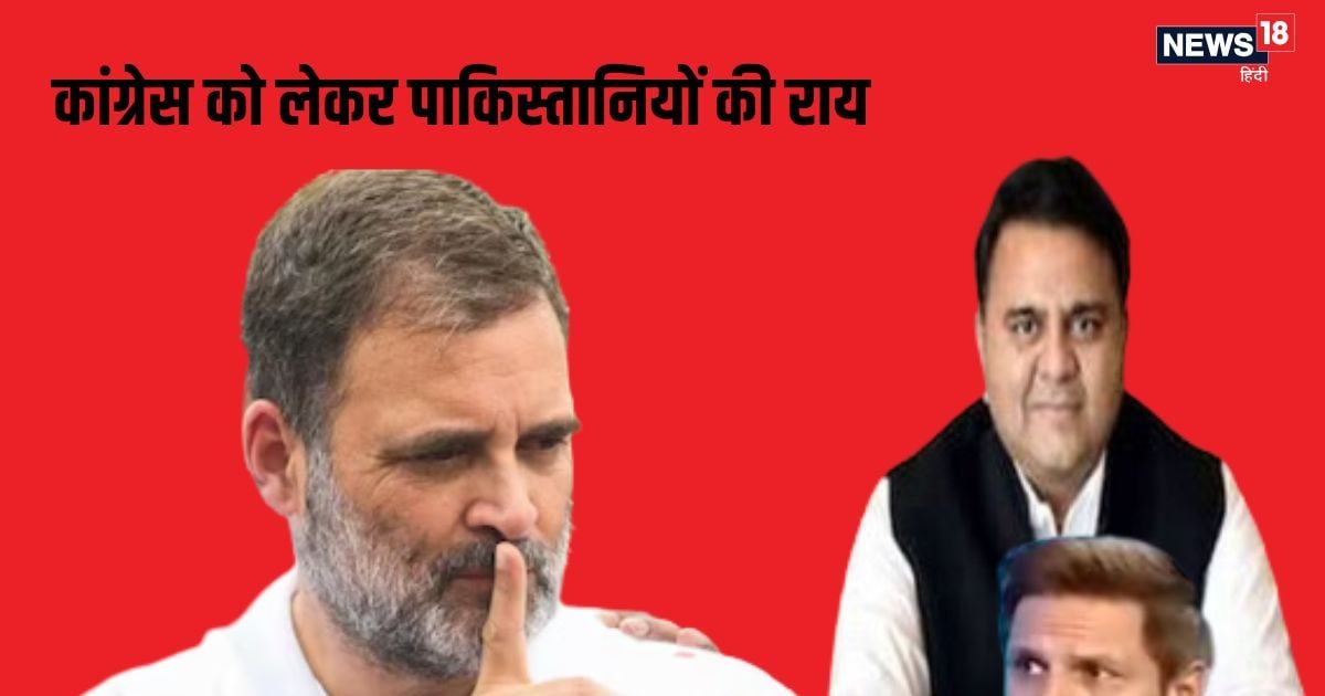 Rahul Gandhi’s politically positive in the eyes of Pakistan cricketer Shaheed Afridi