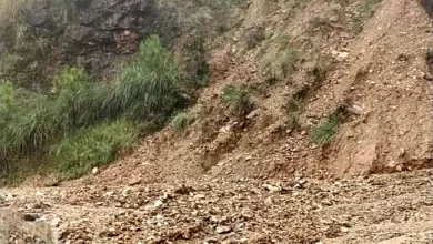 BAGESHWAR NEWS: Goshala collapsed due to overflow, two goats buried in ruin, more than 15 thousand population affected
