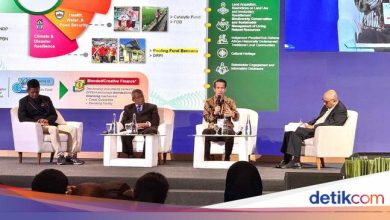 BPDLH introduces PFB, the world’s first disaster financing innovation