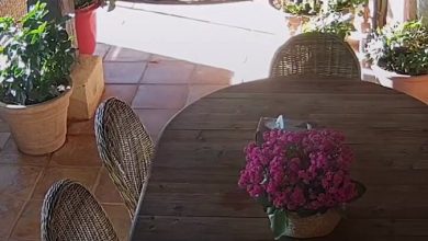 مشاهد للفوضى من داخل منزل خبيرة التجميل جويل ماردينيان بعد تعرضه للسرقة جنوب فرنسا.. فماذا…