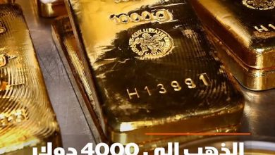 هل يقف العالم على أبواب أكبر حمى لأسعار الذهب في التاريخ؟ ولماذا تقول بنوك عالمية بأن حفلة…