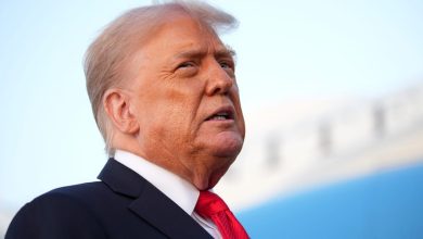 trump-needs-firm-earnings-cycle-to-alternate-in-us