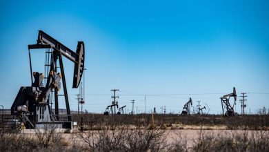 Oil prices shrink their weekly profits with Trump’s call to lower prices