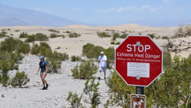The Hottest Temperature Recorded in Every State – ryan