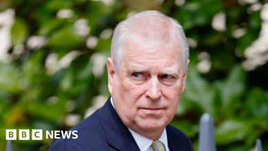 Prince Andrew Needs to Be Fully Investigated, GiUoffre Family Says – ryan