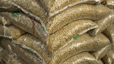 China uses soybean paper to acquire a commercial benefit against America