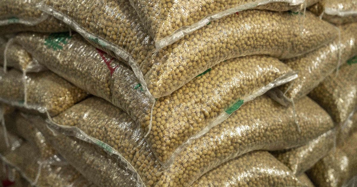 China uses soybean paper to acquire a commercial benefit against America